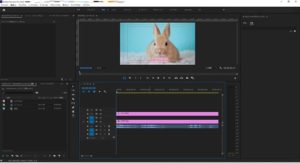 3分でわかる テロップ背景の付け方 Premiere Pro ゆうちゃんねる